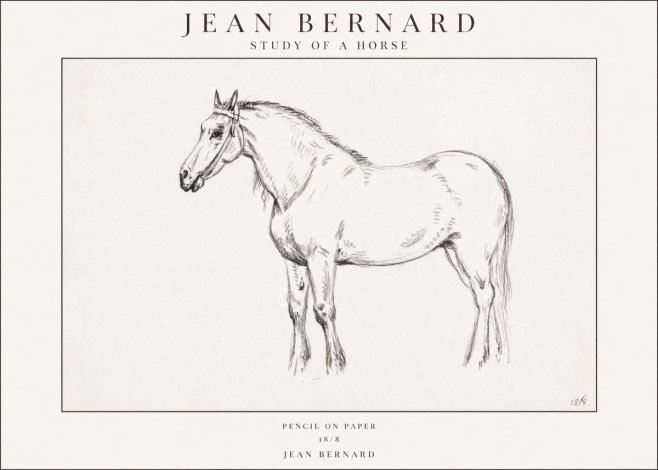 Jean Bernard Study of a Horse XVII No1 - Plakát
