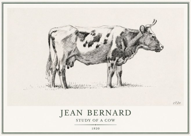 Jean Bernard Study of a Cow XX No1 - Plakát