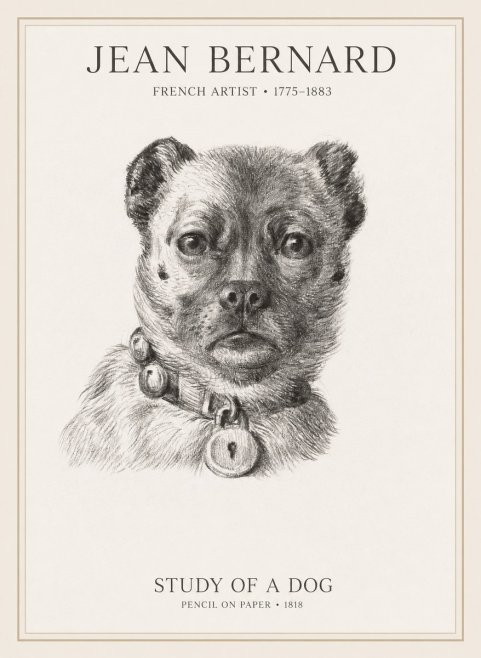 Jean Bernard Study of a Dog IV No1 - Plakát