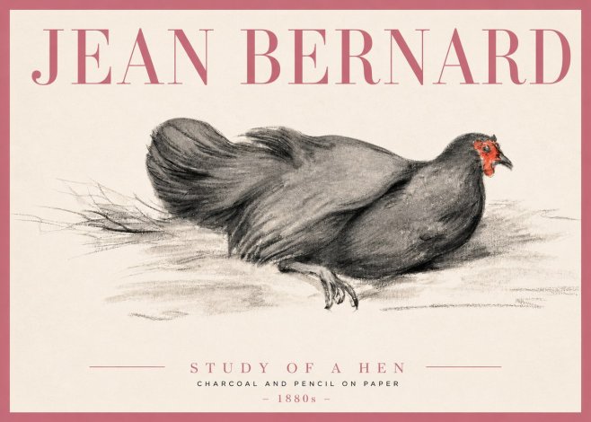 Jean Bernard Study of a Hen No3 - Plakát