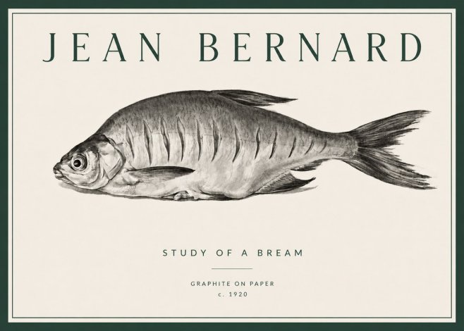 Jean Bernard Study of a Bream No3 - Plakát