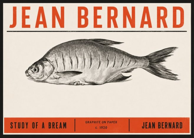 Jean Bernard Study of a Bream No6 - Plakát