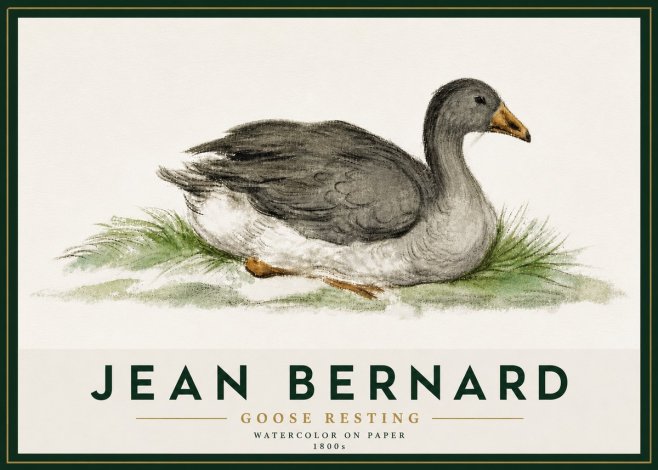 Jean Bernard Goose Resting No5 - Plakát