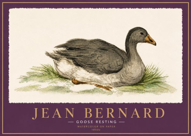 Jean Bernard Goose Resting No6 - Plakát