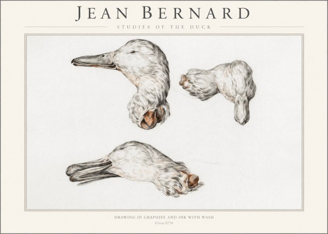 Jean Bernard Studies of the Duck No1 - Plakát