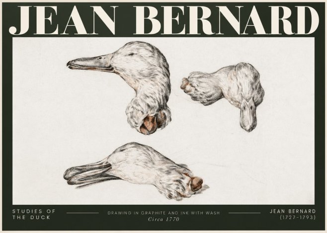 Jean Bernard Studies of the Duck No5 - Plakát