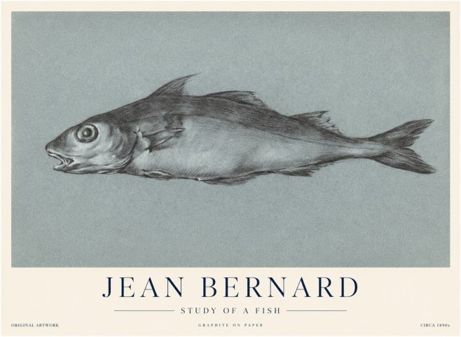 Jean Bernard Fish Study I No4 - Plakát