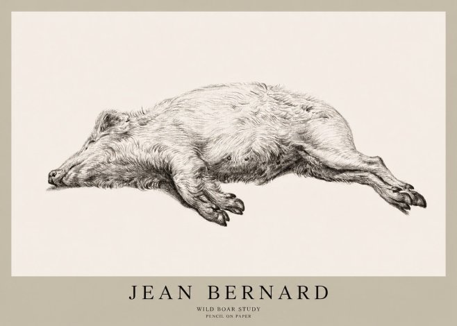 Jean Bernard Wild Boar Study No1 - Plakát