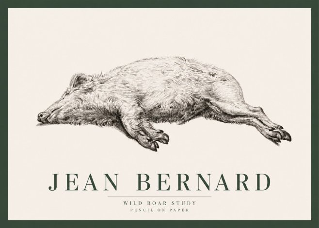 Jean Bernard Wild Boar Study No2 - Plakát