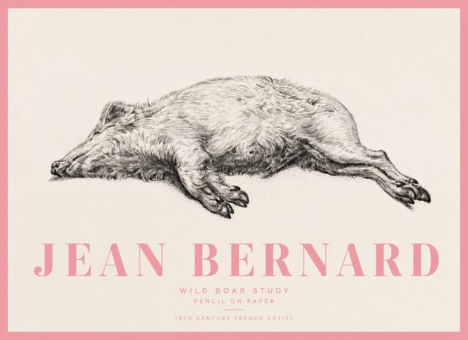 Jean Bernard Wild Boar Study No5 - Plakát