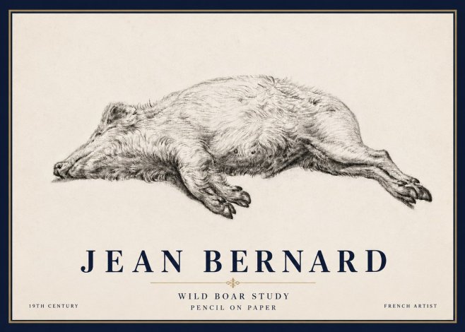 Jean Bernard Wild Boar Study No6 - Plakát