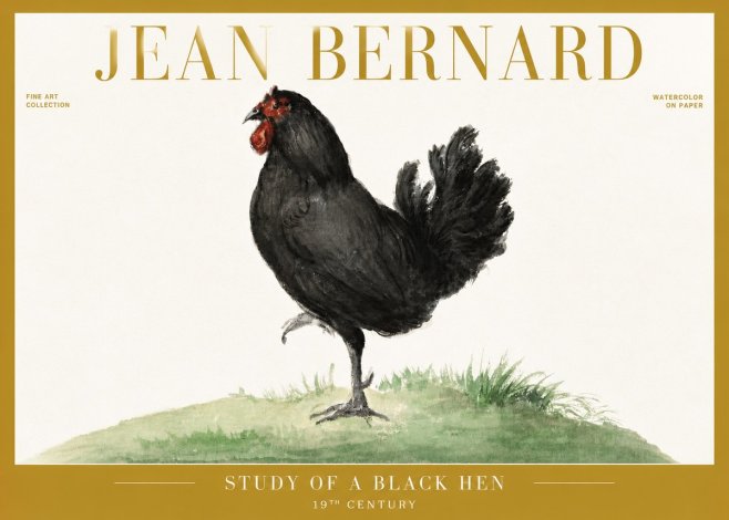 Jean Bernard Study of a Black Hen No6 - Plakát