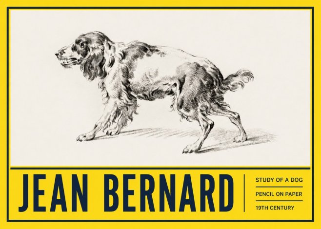 Jean Bernard Study of a Dog V No5 - Plakát
