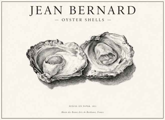Jean Bernard Study of Oyster Shells No6 - Plakát