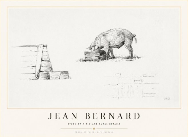 Jean Bernard Pig Study No2 - Plakát