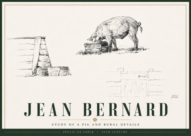 Jean Bernard Pig Study No6 - Plakát