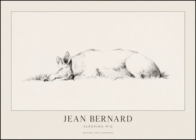 Jean Bernard Sleeping Pig II No1 - Plakát