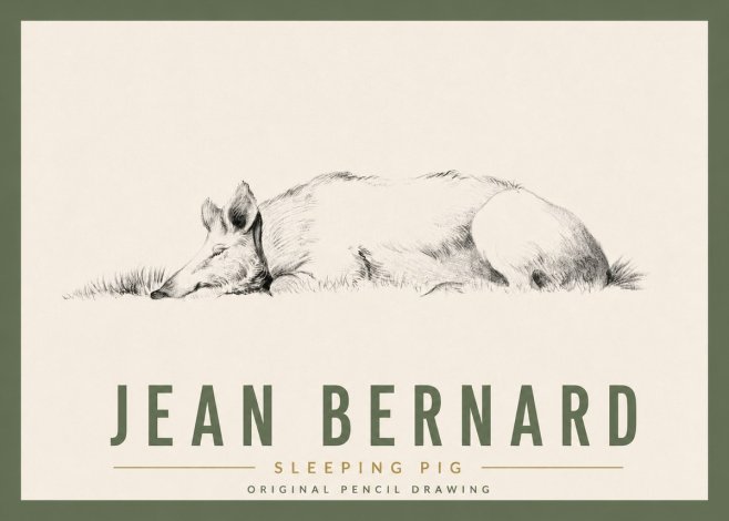 Jean Bernard Sleeping Pig II No5 - Plakát