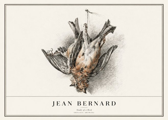 Jean Bernard Study of a Bird IV No1 - Plakát