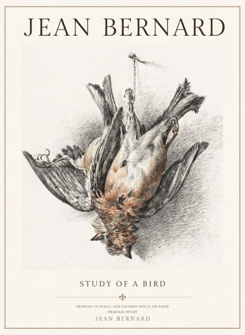 Jean Bernard Study of a Bird IV No3 - Plakát