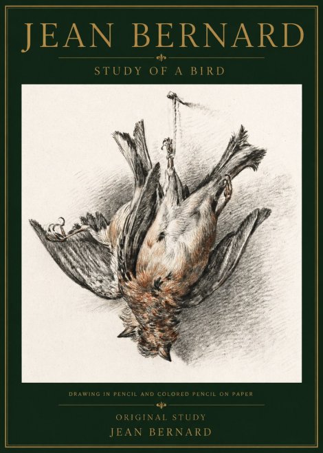 Jean Bernard Study of a Bird IV No5 - Plakát