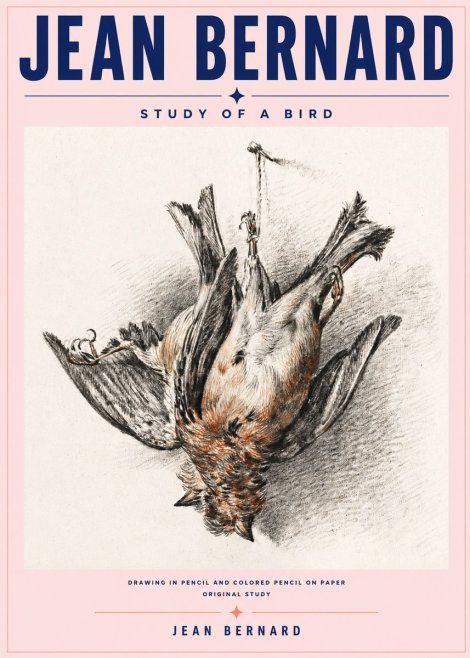 Jean Bernard Study of a Bird IV No6 - Plakát