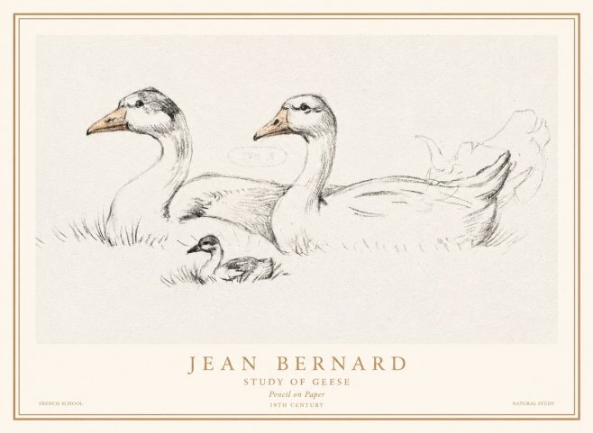 Jean Bernard Study of Geese No1 - Plakát