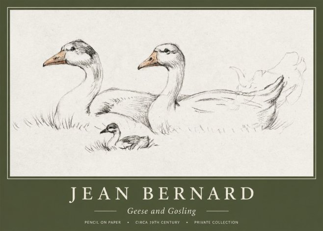 Jean Bernard Study of Geese No2 - Plakát