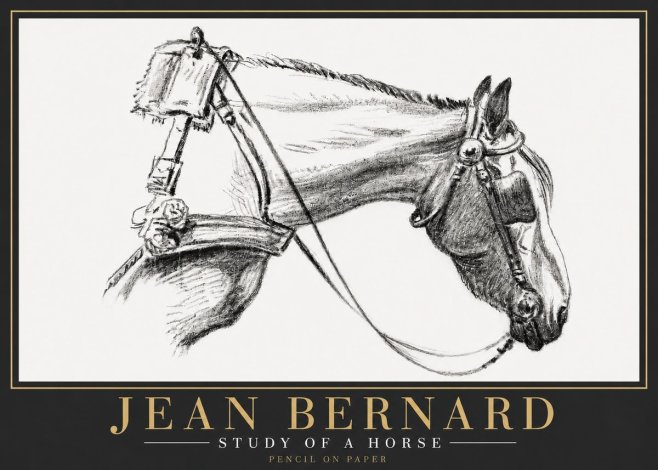Jean Bernard Study of a Horse XVIII No6 - Plakát