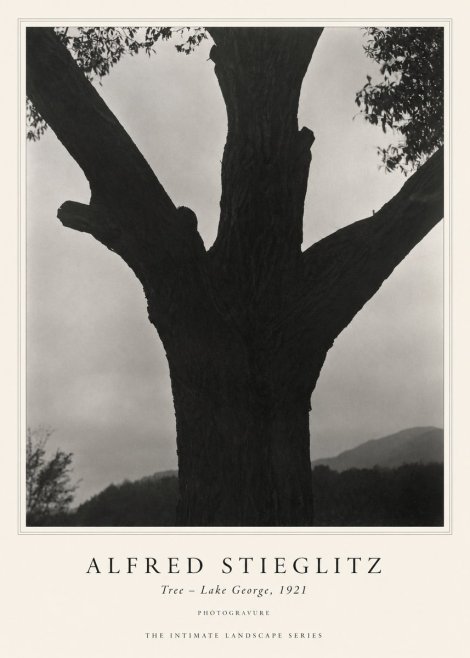Alfred Stieglitz Tree - Lake George, 1921 No1 - Plakát