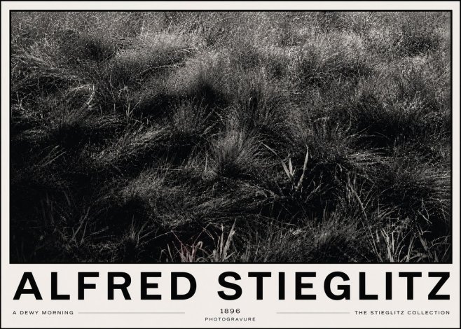 Alfred Stieglitz A Dewy Morning No6 - Plakát