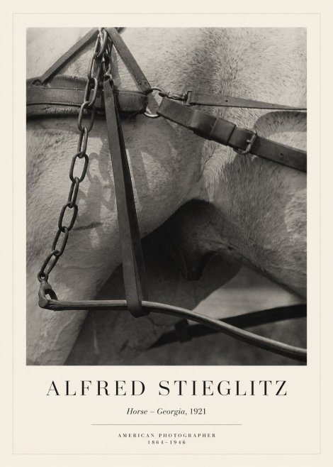Alfred Stieglitz The Steerage I No6 - Plakát