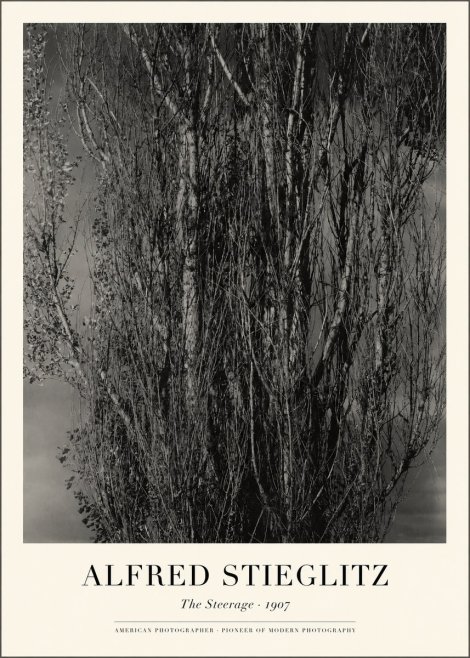 Alfred Stieglitz The Steerage II No1 - Plakát
