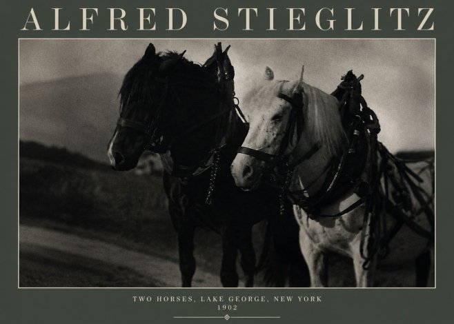 Alfred Stieglitz Two Horses, Lake George, New York No3 - Plakát
