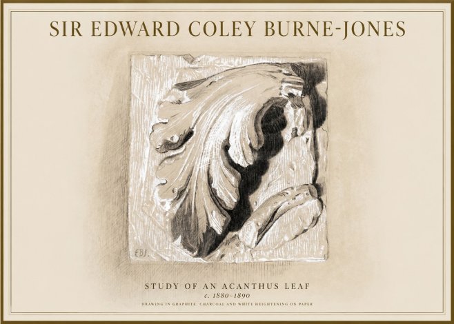 Edward Burne-Jones Study of an Acanthus Leaf No1 - Plakát