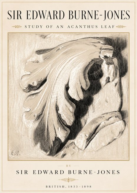Edward Burne-Jones Study of an Acanthus Leaf No2 - Plakát