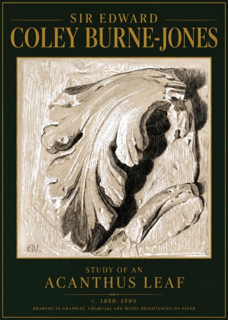 Edward Burne-Jones Study of an Acanthus Leaf No5 - Plakát