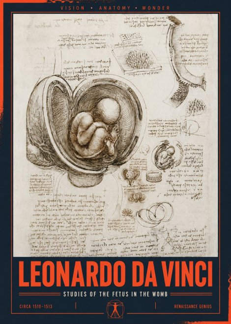 Leonardo da Vinci Studies of the Fetus in the Womb No2 - Plakát
