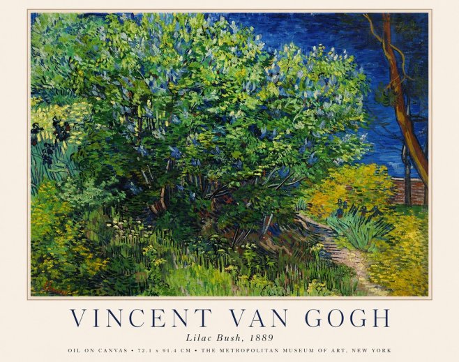 Van Gogh Lilac Bush No1 - Plakát