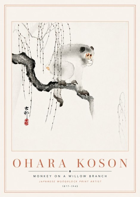Ohara Koson Monkey on a Willow Branch No6 - Plakát