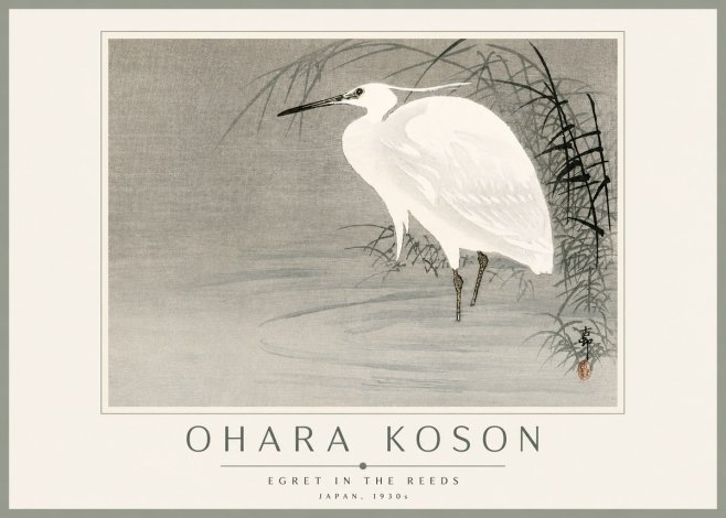 Ohara Koson Egret in the Reeds No3 - Plakát