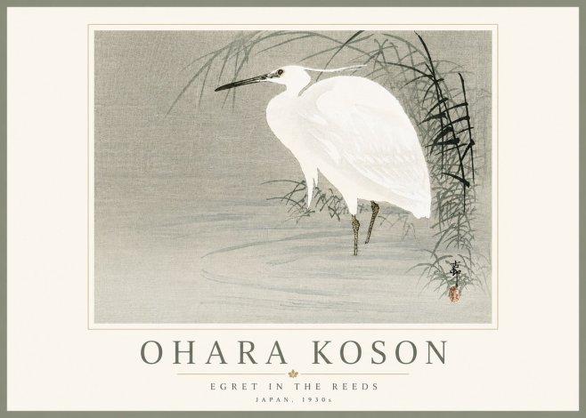Ohara Koson Egret in the Reeds No5 - Plakát