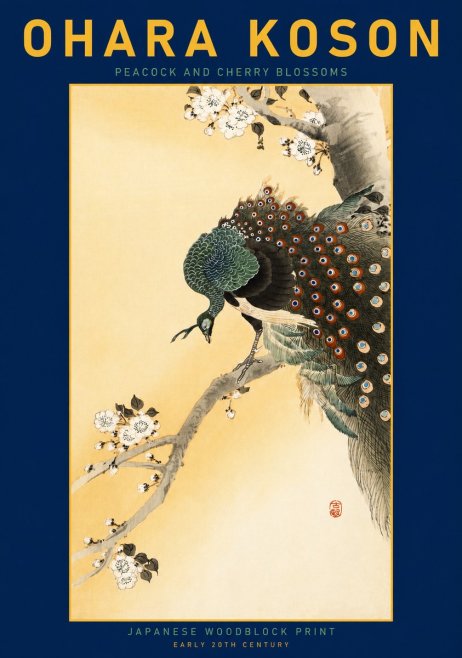 Ohara Koson Peacock and Cherry Blossoms No3 - Plakát