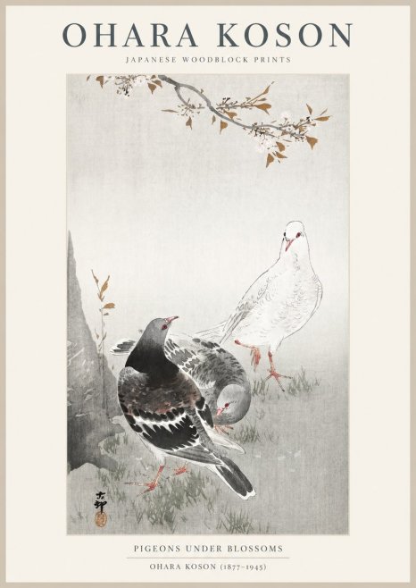Ohara Koson Pigeons Under Blossoms No1 - Plakát