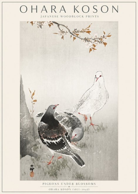 Ohara Koson Pigeons Under Blossoms No3 - Plakát