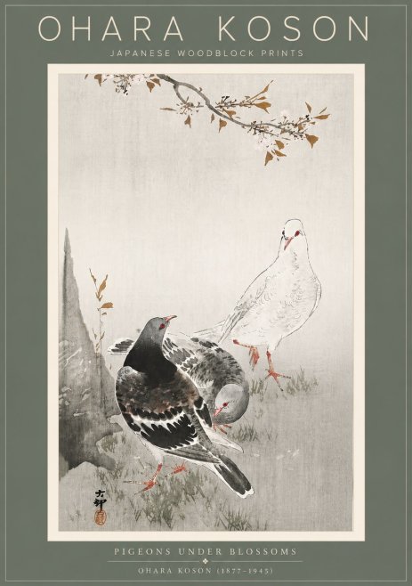 Ohara Koson Pigeons Under Blossoms No5 - Plakát