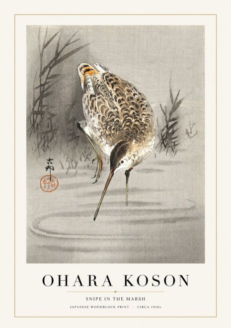 Ohara Koson Snipe in the Marsh No1 - Plakát