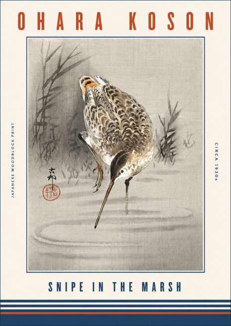 Ohara Koson Snipe in the Marsh No3 - Plakát