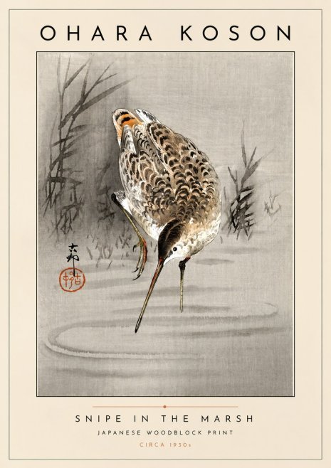 Ohara Koson Snipe in the Marsh No4 - Plakát