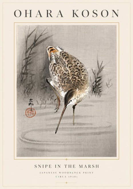 Ohara Koson Snipe in the Marsh No6 - Plakát